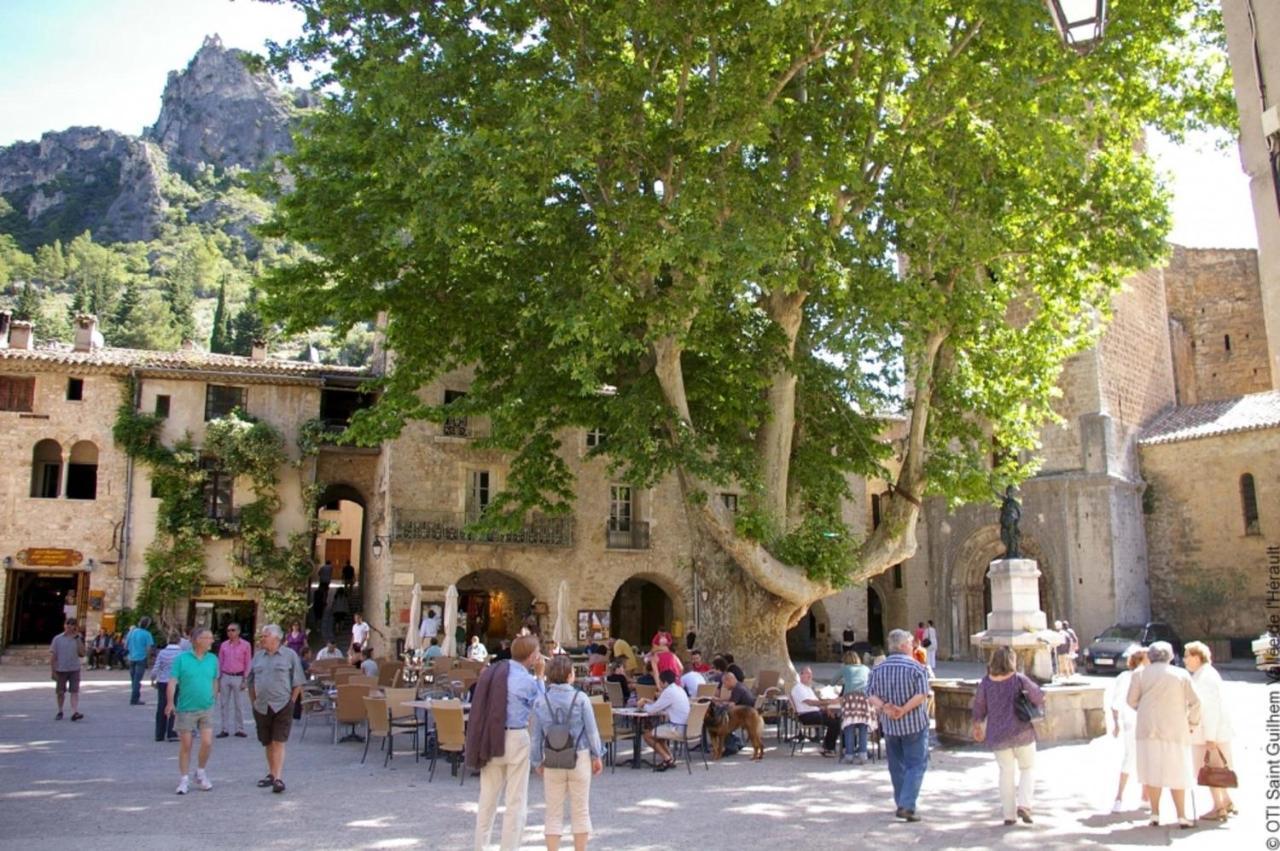 Saëns 01-T2-terrasse avec garage privé optionnel-Centre historique et plages à 16km ! Béziers Esterno foto