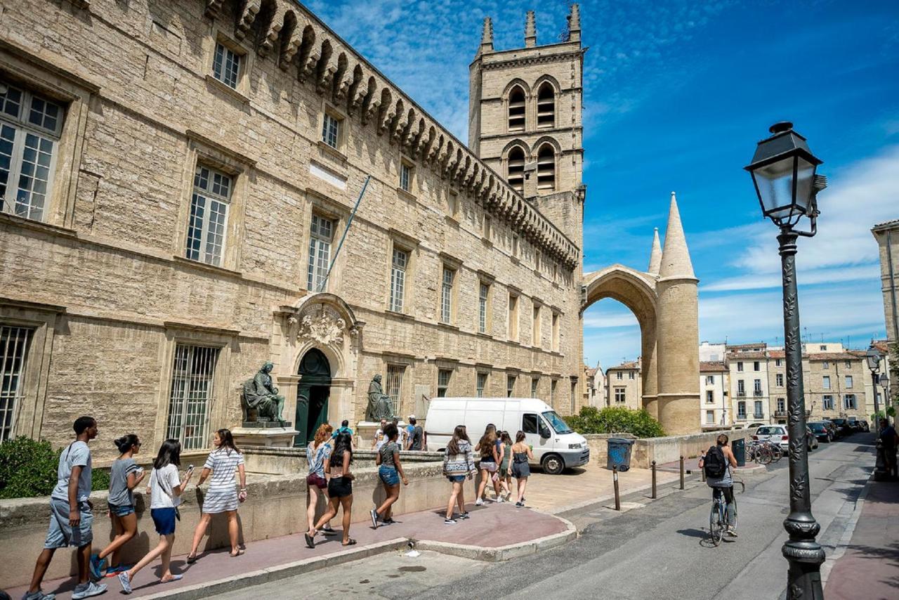 Saëns 01-T2-terrasse avec garage privé optionnel-Centre historique et plages à 16km ! Béziers Esterno foto